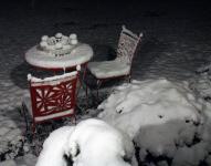 In the morning hours