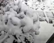 View out of my Studio Window