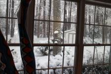 View out of my Studio Window