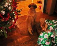 Where did my present go to?