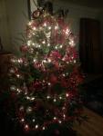Christmas Tree in Maryland by Christina Jarmolinski