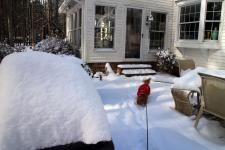 Look at all that snow