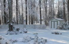 View out of my Studio Window by Christina Jarmolinski  