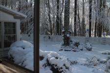 View out of my Studio Window by Christina Jarmolinski