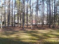 View into my new Neighborhood by Christina Jarmolinski