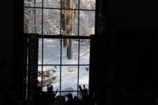 View out of my Studio Window by Christina Jarmolinski