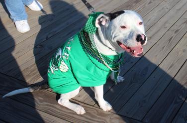 St. Patty's Day on the boardwalk in Ocean City, MD.
