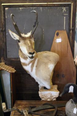 Stillife -looks like an old master- but is a photo by Christina Jarmolinski