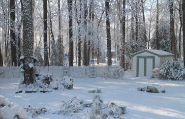 View out of my Studio Window by Christina Jarmolinski  